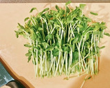【簡単和食】豆苗と油揚げのお浸し作り方3写真