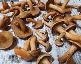 アミタケ、豆腐、ネギの味噌汁作り方2写真