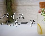 スパイスレモネード作り方1写真