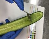 【離乳食にも】夏野菜のたっぷりスープ作り方1写真