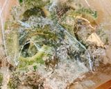 苦くない!ゴーヤの黄金焼き(ピカタ)作り方2写真