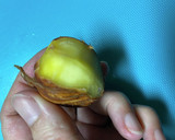 生栗と塩だけで炊くゴロゴロ栗ご飯作り方3写真