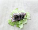 レンチン！かれいの塩昆布蒸し作り方4写真