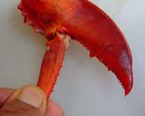 フィロ包焼き作り方14写真