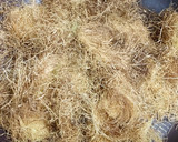 とうもろこしのひげでお茶の素作り方6写真