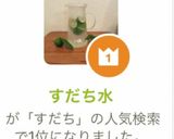 すだち水作り方8写真