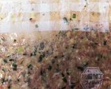 ポリ袋で手が汚れない♡旨味たっぷり餃子作り方4写真