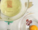 チョコとパイン〜2種類のセミフレッド作り方1写真