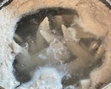 手羽先のさっぱり煮作り方1写真