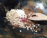 鹿スネ肉のカレー作り方5写真