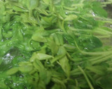 もやしと豆苗のちょい辛ナムル作り方3写真