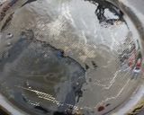 目鯛のハーブ焼き〜舞茸とネギソース〜作り方5写真