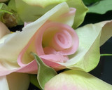 かまぼこ飾り切り！かまぼこで作る薔薇の花作り方6写真