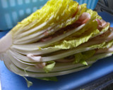 豚と白菜のミルフィーユ煮作り方1写真