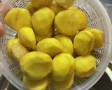 生栗の剥き方〜ターメリック〜煮るまで〜作り方9写真