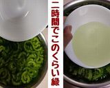 【ゴーヤ大量消費】宮崎定番にがごりの漬け作り方7写真