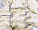 羽つき餃子作り方10写真