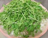 分量簡単レンチン豆苗もやしの豚肉のっけ盛作り方2写真