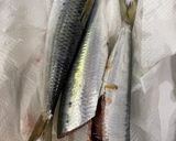 ぶっこむだけで超簡単。イワシのトマト煮作り方1写真