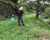 小豆入り栗ご飯作り方1写真