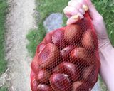 小豆入り栗ご飯作り方3写真