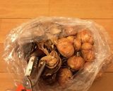 小豆入り栗ご飯作り方4写真