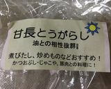 甘長とうがらしの焼きびたし作り方1写真