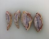 包丁で食べやすく　手羽中ハーフ作り方4写真