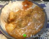 圧力鍋で簡単♫白菜丸ごとツナカレー作り方5写真