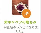 紫キャベツの塩もみ作り方4写真