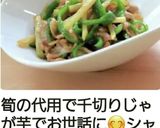 チンジャオロース☆牛でも豚でもどちらでも作り方16写真