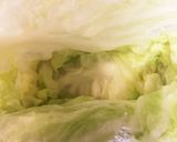 テリーヌ・ドゥ・シガル　厳選野菜と共に作り方15写真