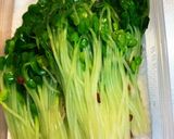 貝割れ大根のお浸し作り方5写真