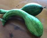 鶏もも肉とズッキーニのイタリアンソテー作り方9写真