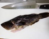 タケノコメバルの煮つけ作り方3写真