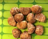 栗ごはん作り方10写真
