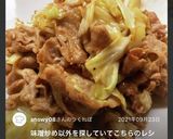 簡単！豚肉キャベツピーマン焼肉のタレ炒め作り方3写真