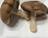 きのこで元気！椎茸の花咲シュウマイ♡作り方1写真