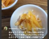 柿と大根のサラダ作り方7写真