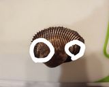 活赤貝のお造り作り方2写真