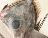 絶品✨マトウダイのお刺身作り方5写真