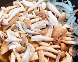 簡単！秋鮭とたっぷりキノコの炊き込みご飯作り方6写真