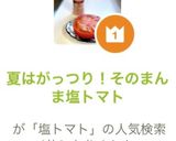 夏はがっつり！そのまんま塩トマト作り方4写真