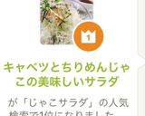 キャベツとちりめんじゃこの美味しいサラダ作り方3写真