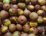 思っていたより簡単だった 梅干し 作り方3写真