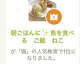 朝ごはんに✨魚を食べる　ご飯　ねこ作り方10写真