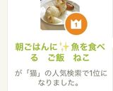 朝ごはんに✨魚を食べる　ご飯　ねこ作り方10写真