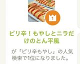 ピリ辛！もやしとニラだけのとん平風作り方9写真