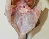 フードドライヤーでガシラ煮干し（カサゴ）作り方3写真