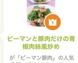 ピーマンと豚肉だけの青椒肉絲風炒め作り方9写真